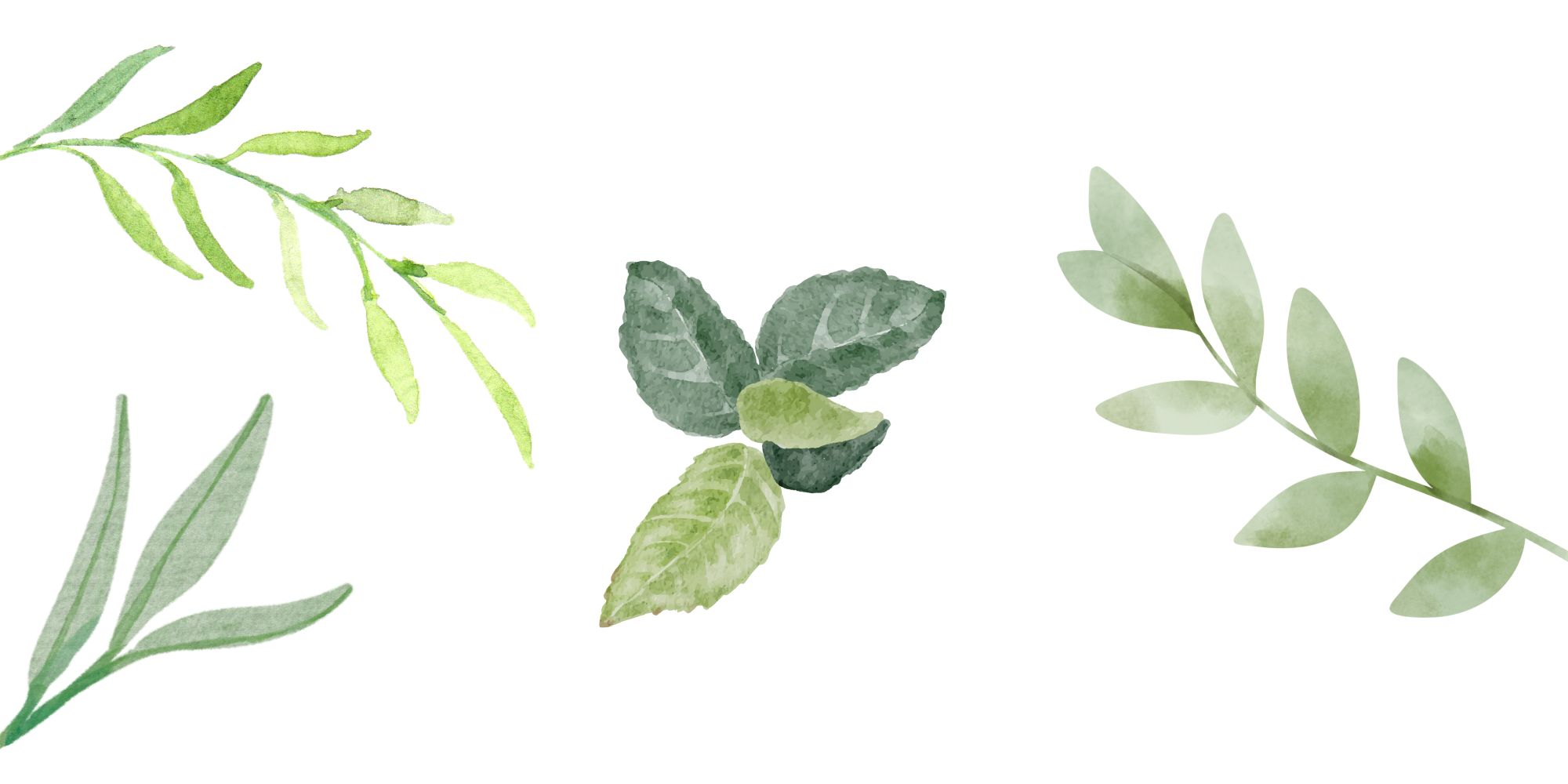 Copy of The Cures Banner 2B
